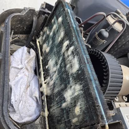 Severely moldy AC evaporator coil